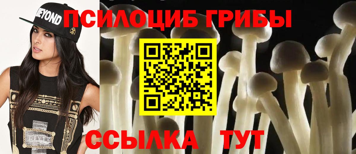 Галлюциногенные грибы Psilocybine cubensis  Вход с VPN  Кизляр  Галлюциногенные грибы мухоморы 